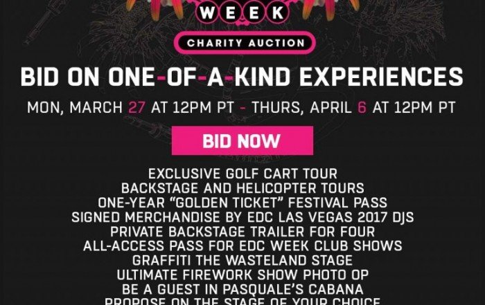 EDC week 2017 charity auction
