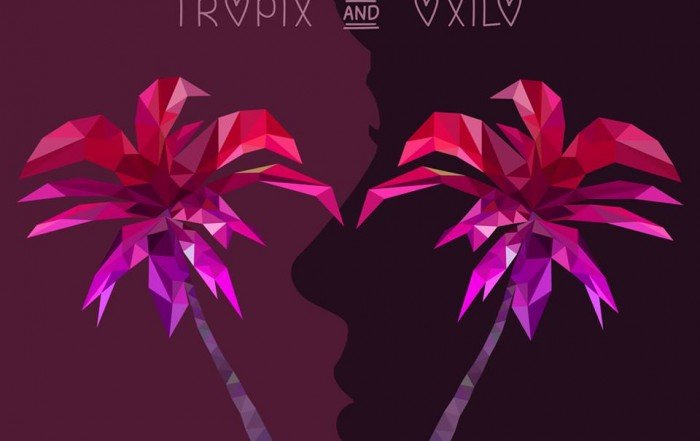 Two Friends Out of Love Tropix Oxilo Remix - Neon Owl